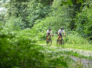 Cyclistes sur route avec des vélos VAN RYSEL